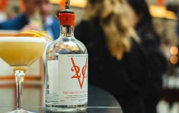 Les cocktails d'été les plus rafraîchissants Les cocktails d'été les plus rafraîchissants
