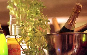 Bonito y Sabroso #11