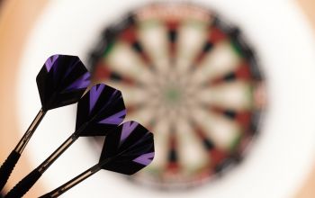 Les Petites Flèches Parmentier #8