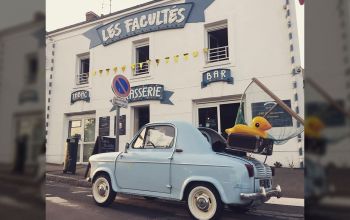 Les Facultés #4 Les Facultés #4