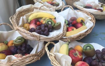 Village Nature et Insolite Les Rives de Grand Lieu #12