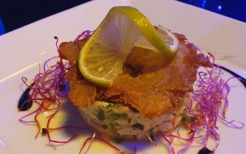 Tout le Monde en Parle #11