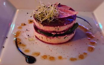 Tout le Monde en Parle #12