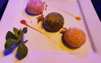 Tout le Monde en Parle #13