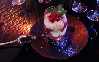 Tout le Monde en Parle #15