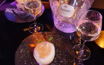 Tout le Monde en Parle #16