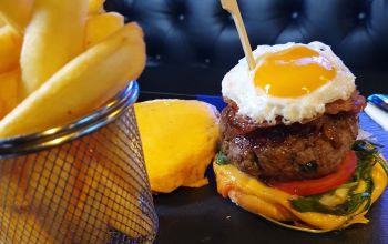 Tout le Monde en Parle #17