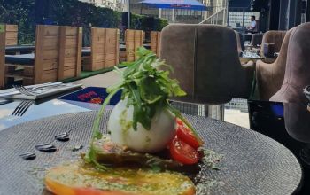 Tout le Monde en Parle #18