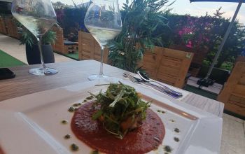 Tout le Monde en Parle #19