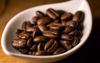 Les Jardins d'Avalon #14 Les Jardins d'Avalon #14