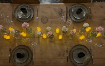 La Nouvelle République #11