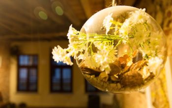 The Sister Brussels Café #4