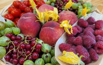 As de Table #6 As de Table #6