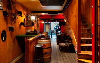 Bull’s brothers  #2