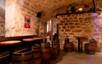 Bull’s brothers  #5