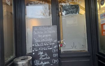 Le Coucou des Peupliers #4