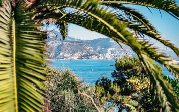 Z Restaurant Tapas #2