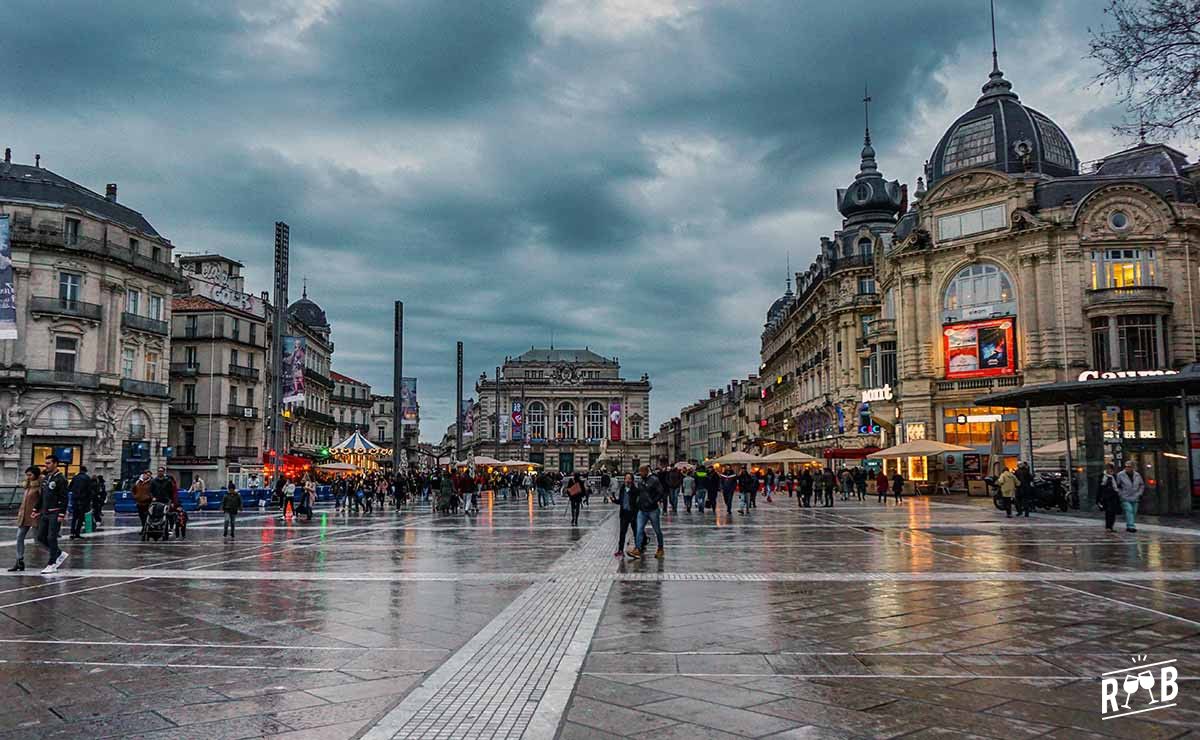 Bioburger Montpellier #1