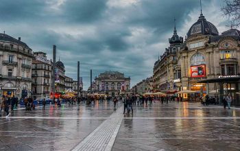 Bioburger Montpellier #1