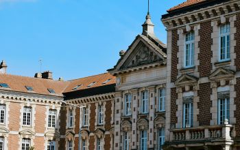 La vache folle dingue #3 La vache folle dingue #3