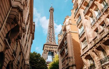 Le Sarment de Montmartre #3