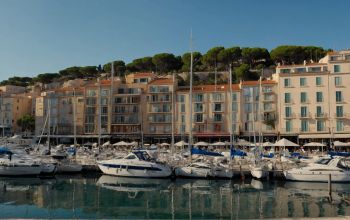 Le Panoramic Tigre #4