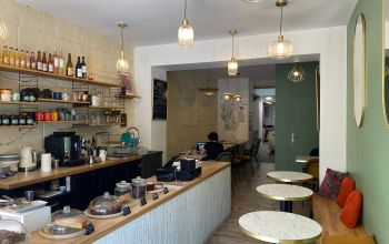 Pomme Cactus #7 Pomme Cactus #7