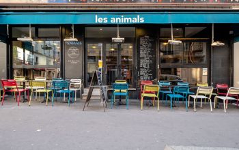 Les Animals #6