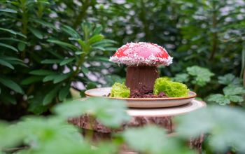 L'Atelier du Ruck #17