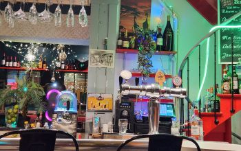 L'Arlequin des Grands Lacs #12