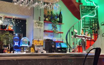 L'Arlequin des Grands Lacs #13