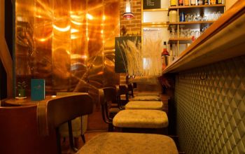 Mademoiselle Plume #5