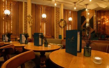 Mademoiselle Plume #7