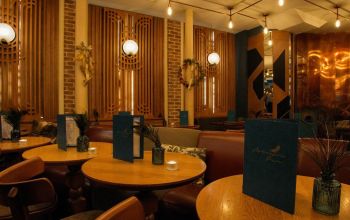 Mademoiselle Plume #9