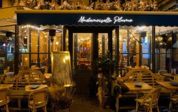 Mademoiselle Plume #10