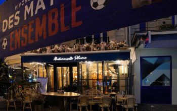 Mademoiselle Plume #13