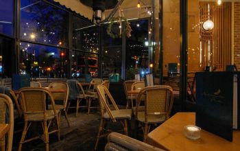 Mademoiselle Plume #14