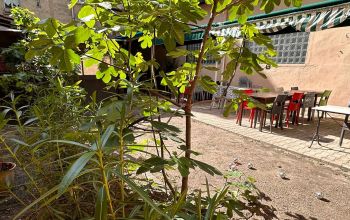 La Taverne de L'Orque Assassine #3