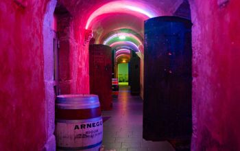 Les Caves du Roi Soleil #7