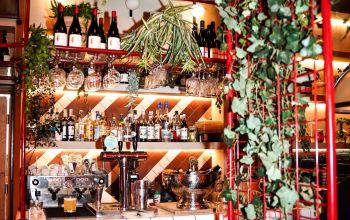 Starving Club Pasteur #17