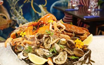 Les 3 P'tits Pichons #14