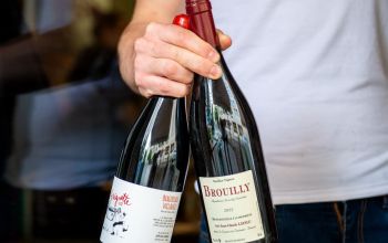 Le petit Bouclard #6