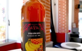 L'Arlequin des Grands Lacs #14