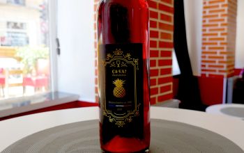 L'Arlequin des Grands Lacs #16