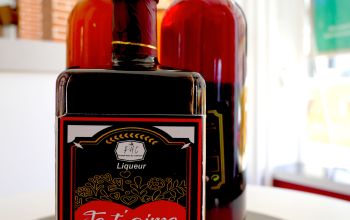 L'Arlequin des Grands Lacs #17