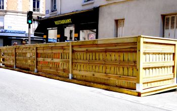 L'Arlequin des Grands Lacs #1