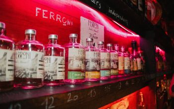 Taverne du Perroquet #14