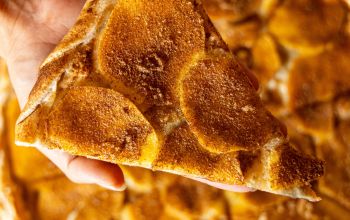 L'Alsacien Châtelet #13