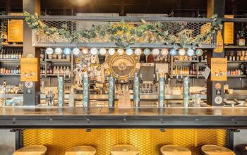 Les Berthom Montpellier #7