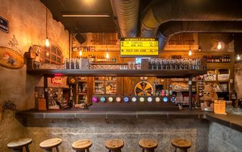 Les Berthom Lyon 1er #19